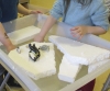 Pat`s Mini Box - Kindergartengruppe
