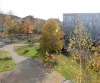 Pat`s Dahlienheim - Aussengelände